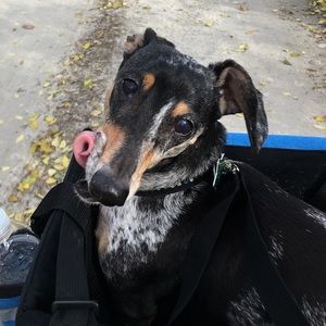 Meet your Posher, Nicole